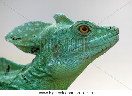 Basilisk2