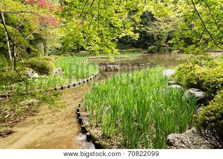 The garden with pond in Heian Jingu Shrine in Kyoto.