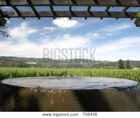 Weingut im Napa Valley