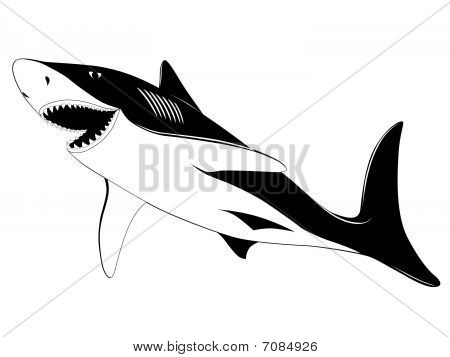 Shark, tattoo