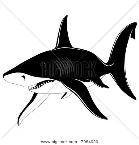 Shark, tattoo