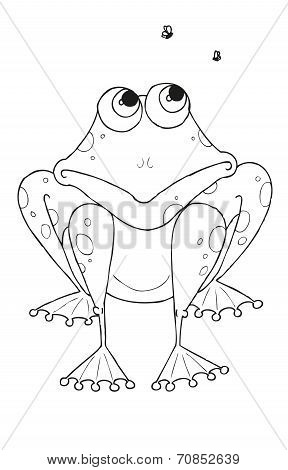 Frog with flys