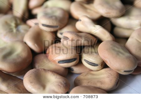 Beans
