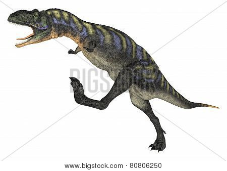 Dinosaur Aucasaurus