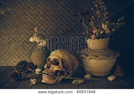 Still Life With A Skull.