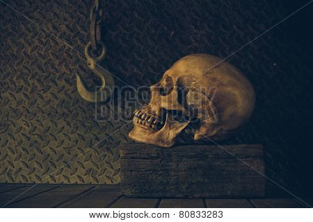 Still Life With A Skull.