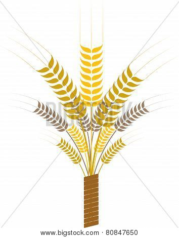 Sheaf With Ears