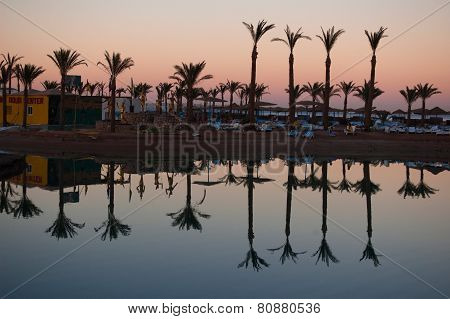 Palms are reflecting in the water on the warm sunset of the summer day in Egypt