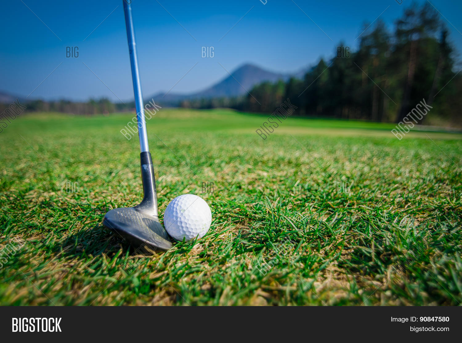 Chipping Golf Ball Image & Photo (Free Trial) Bigstock