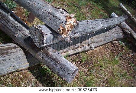 Log Fence