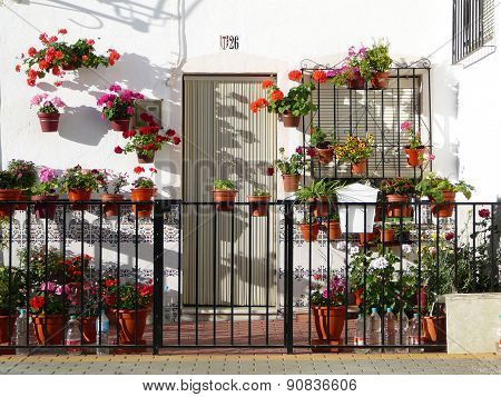 Front Garden With Flowers