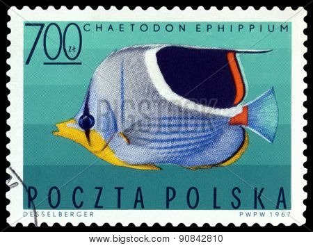Vintage  Postage Stamp. Saddleback Butterflyfish.