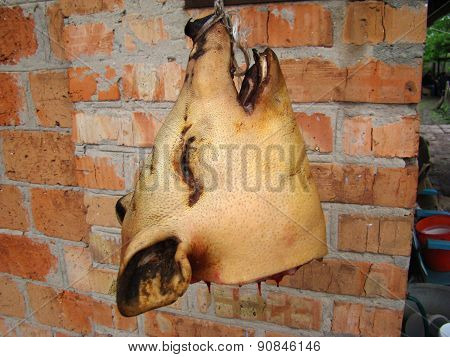 Pig Head