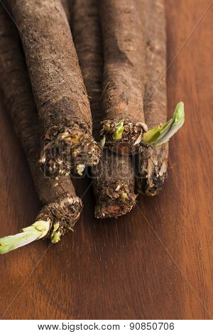 Salsify Vegetables On Wood