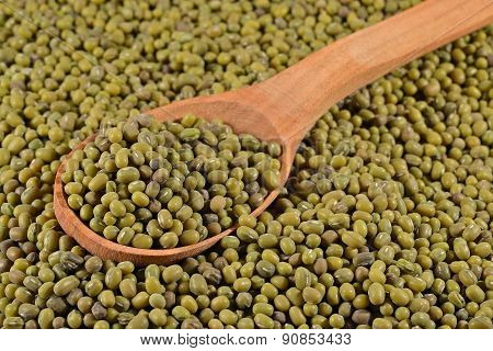 Green Mung Beans In A Spoon