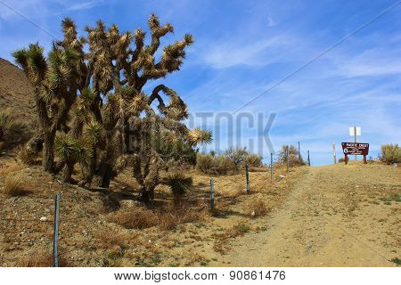 Pacific Crest Trail