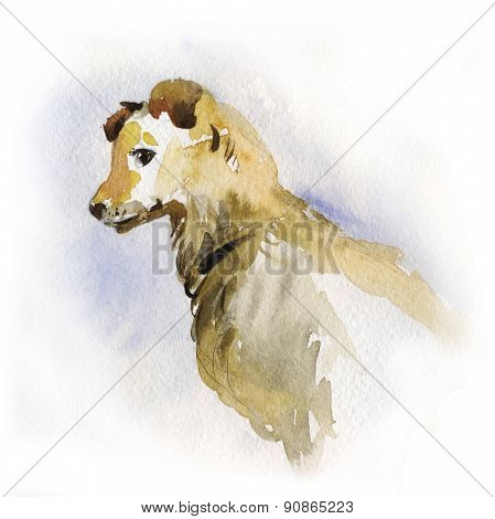 Watercolor Portrait Of A Dog