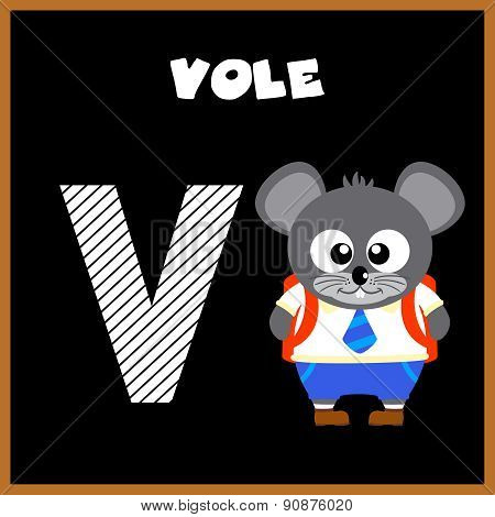 The English alphabet letter V
