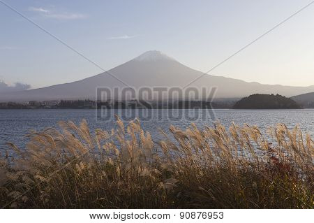 Mt.fuji In Autumn, Japan