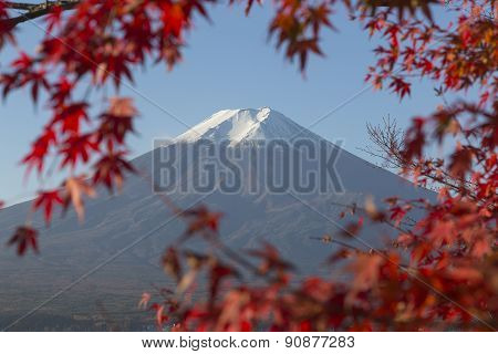 Mt.fuji In Autumn, Japan