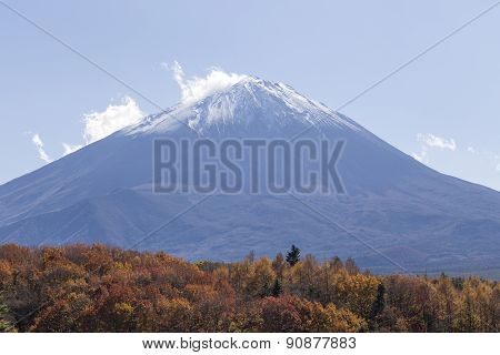 Mt.fuji In Autumn, Japan
