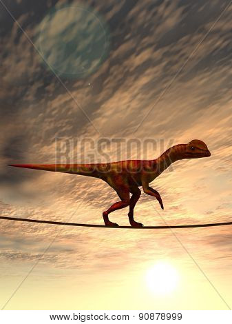 Concept or conceptual abstract business metaphor as wild heavy dinosaurus balancing on rope over sunset sky background