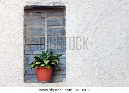 Piatto decorando una finestra