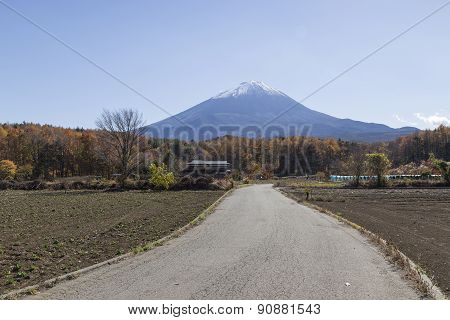 Mt.fuji In Autumn, Japan
