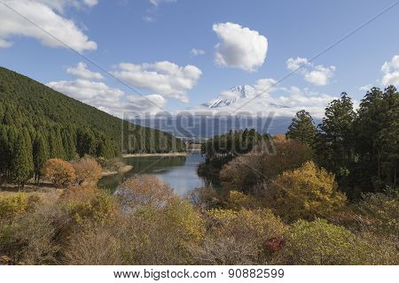 Mt.fuji In Autumn, Japan