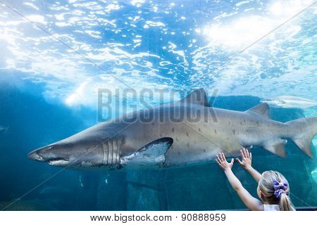 Young woman touching a shark tank at the aquarium