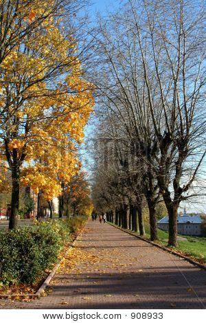 Vicolo di autunno