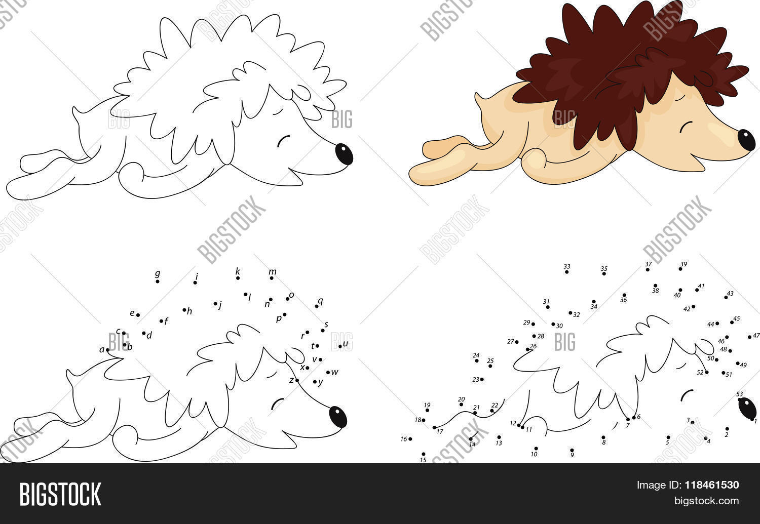 Cartoon Hedgehog Vector & Photo (Free Trial) | Bigstock