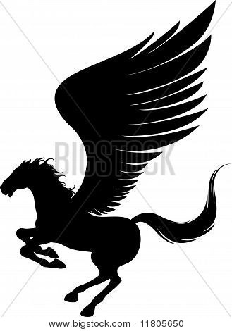 Volo Pegasus