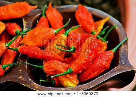 Spicy chili in the world from market