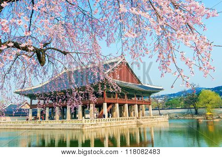 Gyongbokgung Palace with cherry blossom in springKorea