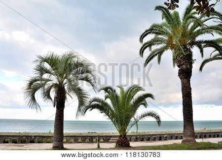 Waterfront Views Gagra, Abkhazia
