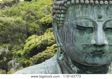 The Great Buddha (daibutsu) On The Grounds Of Kotokuin Temple In Kamakura, Japan.