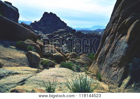 Rocks In Tafroute
