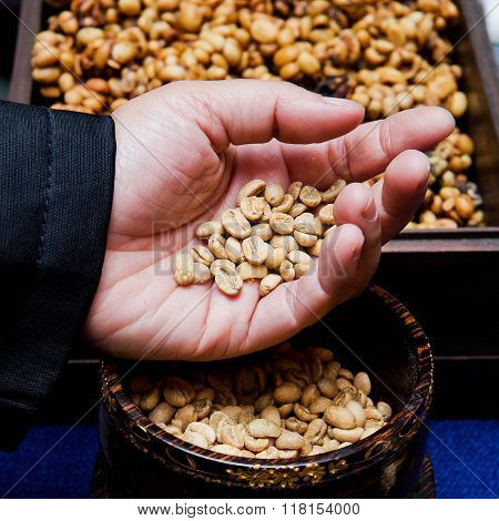 Coffee beans from the civet on hand.