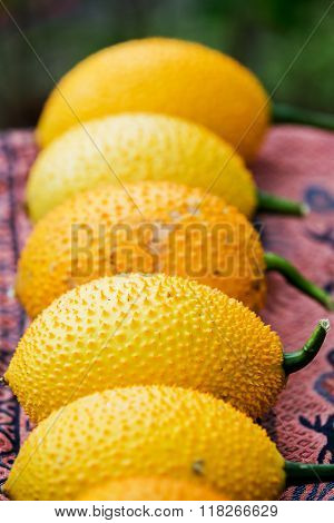 Gac fruit Baby Jackfruit Spiny Bitter Gourd Sweet Grourd or Cochinchin Gourd