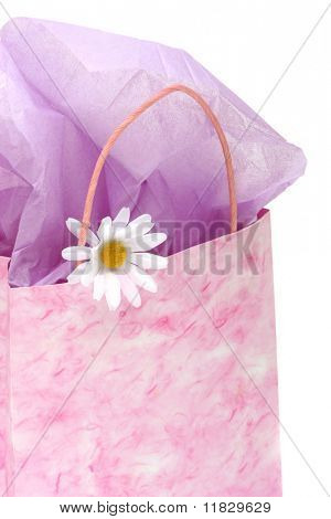 Sacchetto regalo rosa isolata on white background