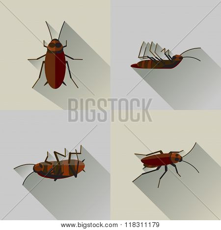 Vector Long Shadow Dead Cockroach Set Bug Insect