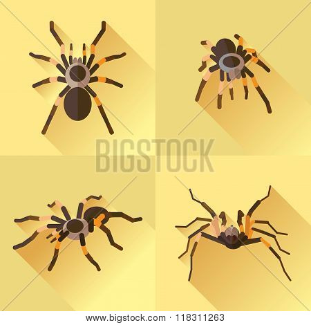 Vector Long Shadow Flat Spider Set Tarantola