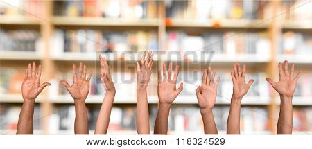 Human Hand.