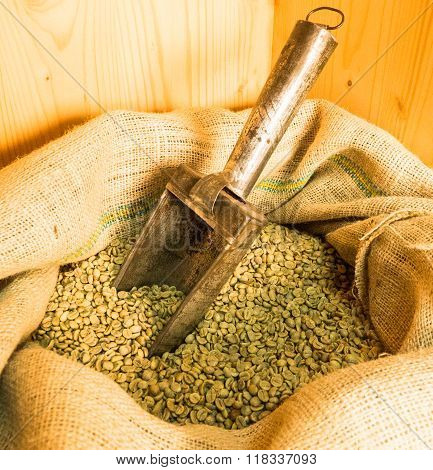 A Green Coffee Located In A Bag