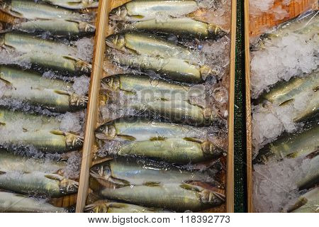 Tsukiji Fish Market, Japan.