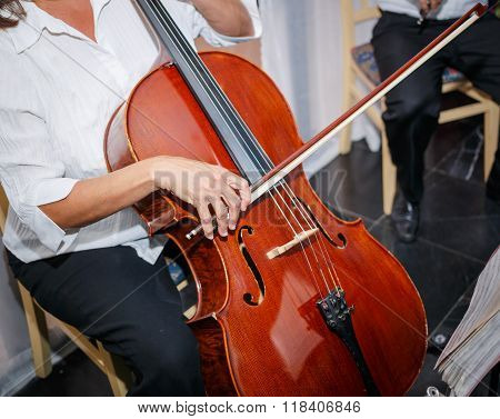 Great closeup  view of a person sitting and practicing on cello musical old vintage instrument
