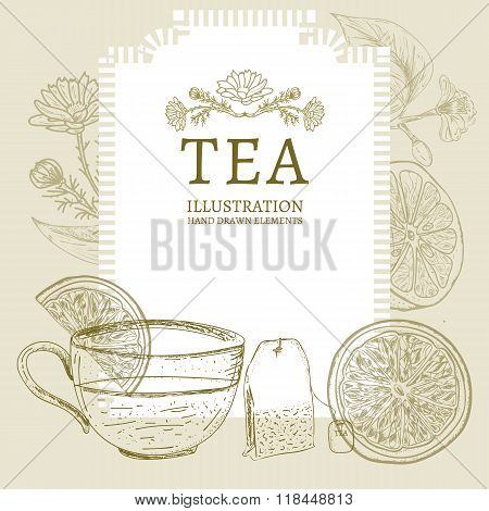 Tea Hand Drawn Elements Vintage Tea Sketch Vector