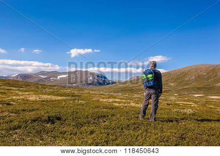 hiker with backpack traveling in Norway mountains Dovrefjell