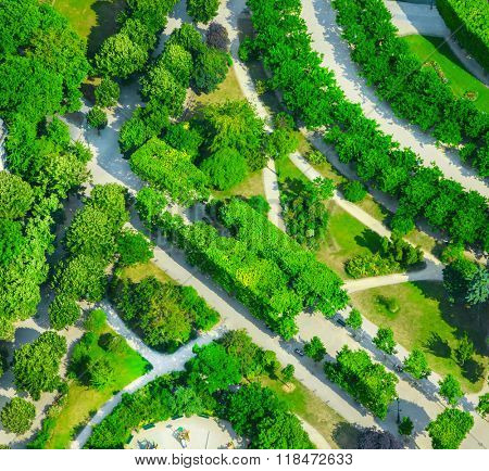 View from the top of the garden